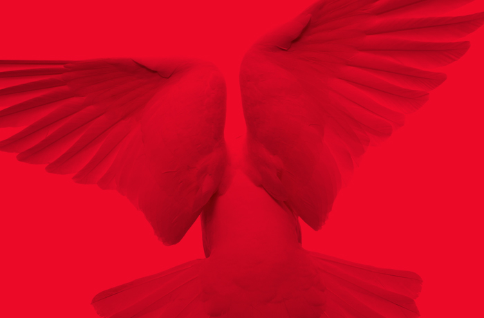 The Apostolic Church